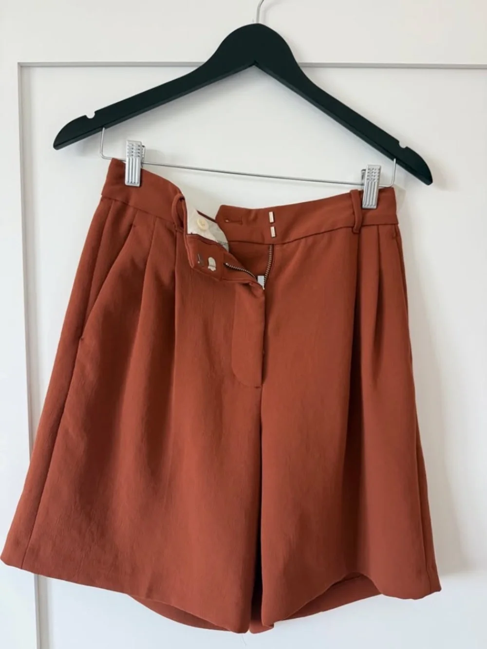ARITZIA Wilfred Pleated Shorts Rust